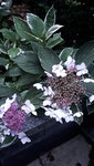 20210827_201212.jpg