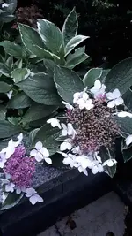 20210827_201212.webp