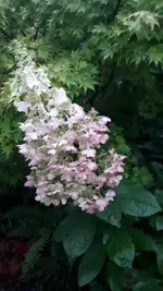 20210827_201231.webp