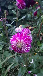20210827_200928.webp