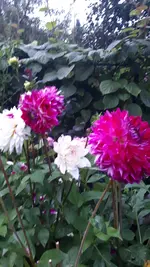 20210827_200936.webp