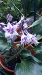 20210827_200904.jpg