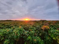 20210828_201821.webp