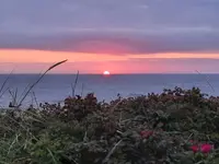 20210828_202742.webp