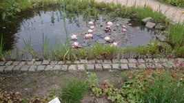 DSC_0632 (2).webp