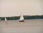 DSCI0353.JPG
