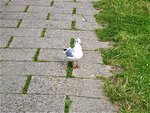 IMG_20200911_134718.jpg