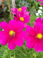 20210829_134047.webp