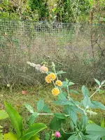 20210829_153358.webp