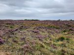 20210829_130929.jpg