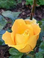 20210618_102402.webp