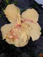 20210709_202420.webp