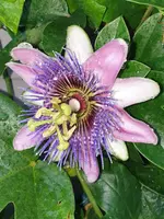 20210709_202706.webp