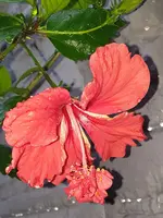 20210709_202733.webp