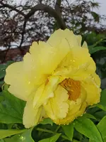 20210831_082505.webp