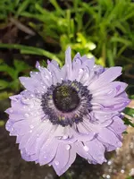 20210614_162148.webp