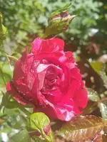 20210614_162547.webp