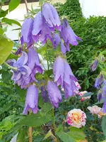 20210618_092725.webp