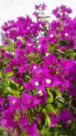 20210831_115203.webp