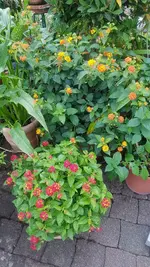 20210831_115209.webp