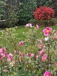 IMG_20210829_171916.jpg