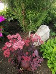 IMG_20210829_172027.jpg