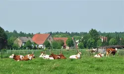 ftwttbwrbAug21.webp