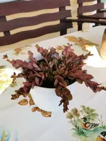 IMG_20210730_172717.webp