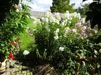 DSC02007.webp