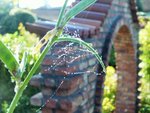 DSCF5032 (2).JPG