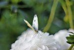 image004.jpg