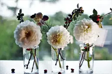 image005.webp