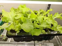 20210902_220204.webp