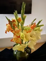 F9E6D381-34D6-41D1-81D7-6C4E4F5A1492_1_201_a.webp