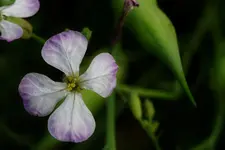 2021nbknnt02.webp 2021nbknnt02.webp