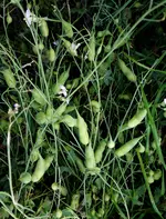 2021nbknnt03.webp 2021nbknnt03.webp