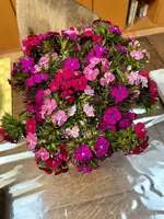92858711-D958-4EFC-A6AB-12F90832CC84_1_201_a.webp