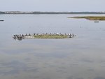 20210902_115813.jpg