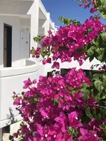 6CE11EC2-8B29-4960-94D6-74791CB8DFFF.webp