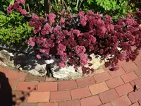 DSC02020.webp