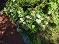 DSC02024.webp