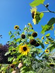 20210905_141628.jpg