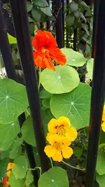20210905_105109.webp