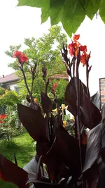 20210905_103747.webp