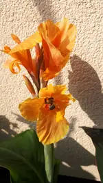 20210905_103826.webp