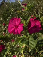 C041957A-06AE-4BF3-9D05-E830A3E22233.webp