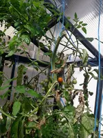 20210902_114837.webp