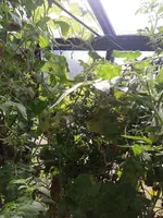 20210902_114858.webp