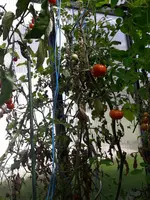 20210902_114911.webp