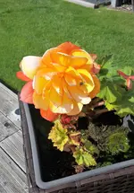 20210904_144323.webp